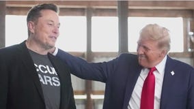 Elon Musk's email order causing confusion