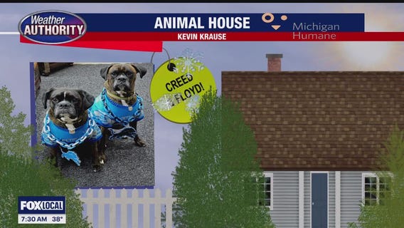 Welcome Creed, Floyd, Chase & Gus