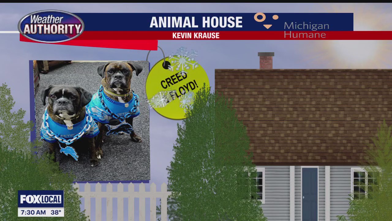 Welcome Creed, Floyd, Chase & Gus