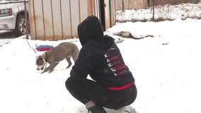 Dog rescue group 'The Karens' bring hope, help to pets in need