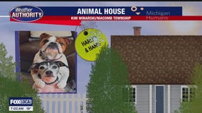 Welcome Harley, Hank, Rascal, Chloe