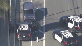 Cops pin LA police chase suspect from behind