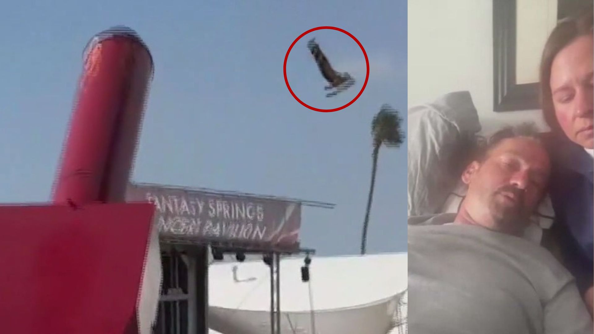 'Human Cannonball' recovering after horrific fall