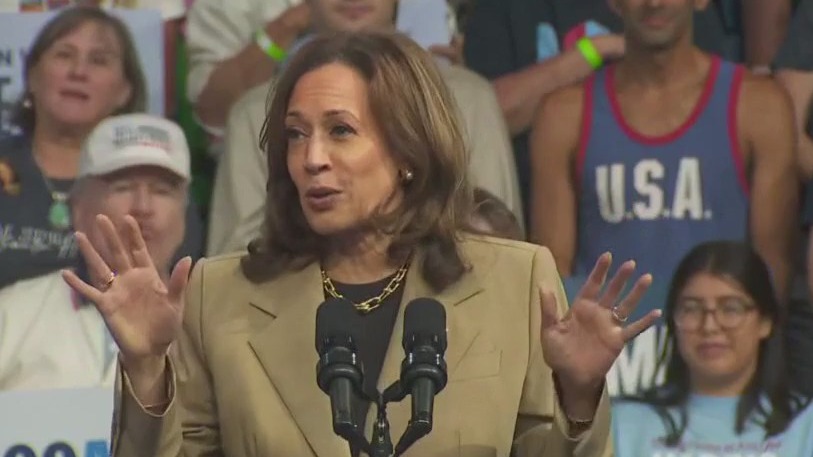 Could Kamala Harris make a run for CA governor?