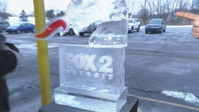 Winter Blast Royal Oak