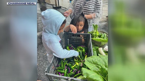 Detroit aid operation on pause over fear of ICE raids