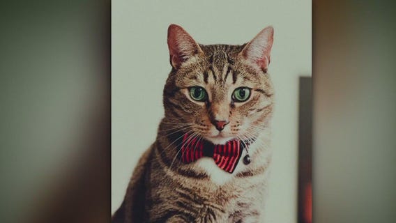 Family says pet cremation company scammed them