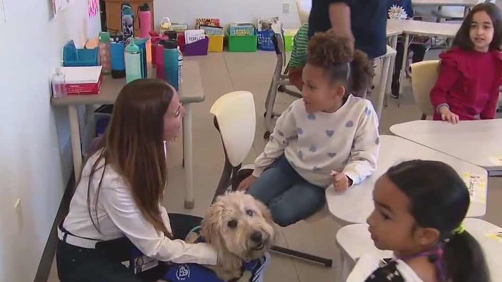 Therapy dogs visit students impacted by Eaton Fire