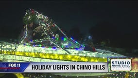 Holiday Lights in Chino Hills