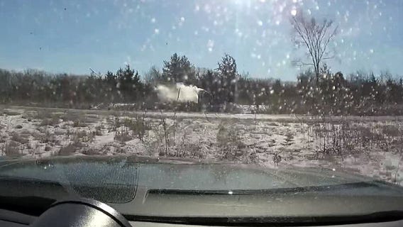 Stolen vehicle crashes during Michigan police pursuit