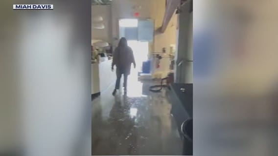 Detroit Artists Market's new exhibit was washed out - literally