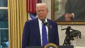 Department of Education lays off half its staff