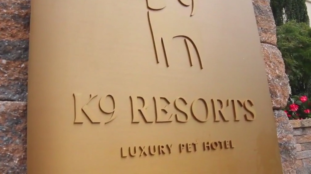 Pampering your furry friend at K9 Resorts