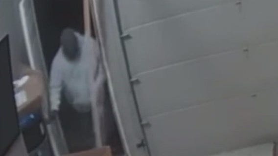 Shelby Township break-in attempt caught on camera