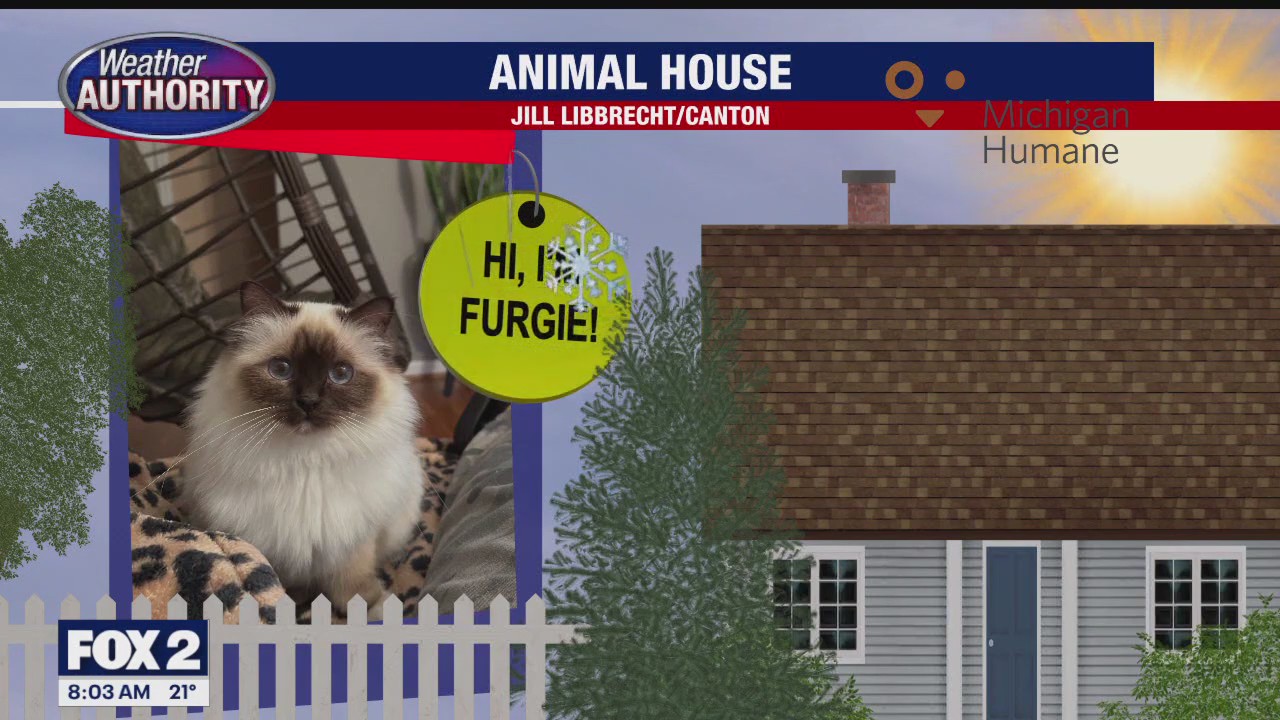 Welcome Furgie, Zoey, Zane, Riley