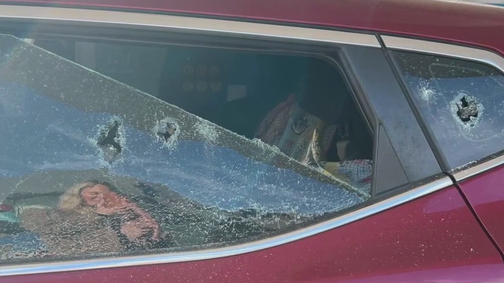 Multiple cars broken into in Venice