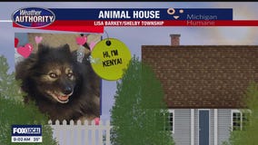 Welcome Kenya, Maximus, Milo