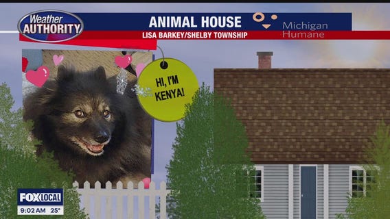 Welcome Kenya, Maximus, Milo