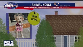 Welcome Clyde, Astro, Brody