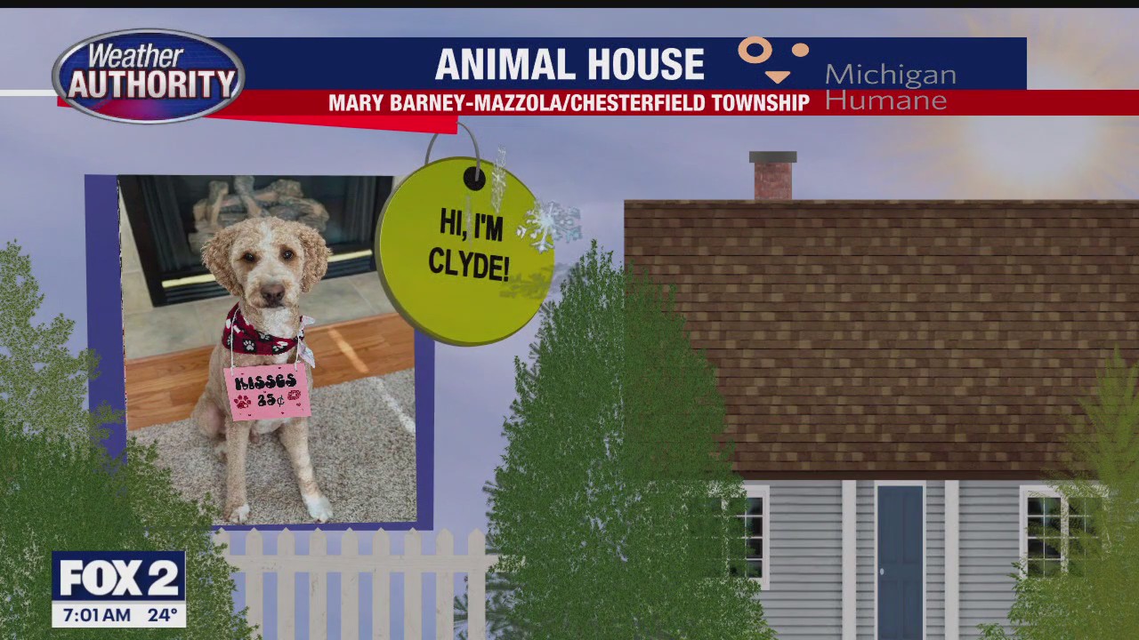 Welcome Clyde, Astro, Brody