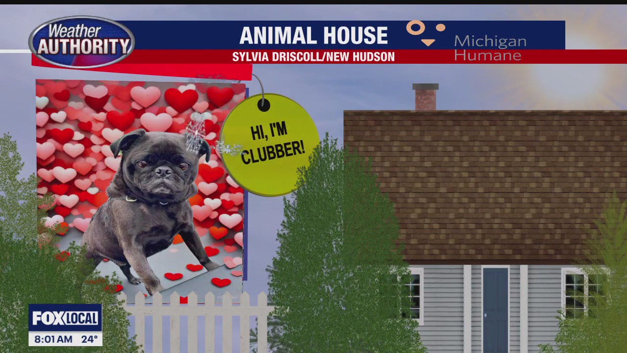 Welcome Clubber, Bailey, Whipple