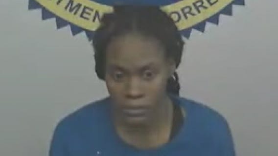 Michigan mother faces gun charges after alleged incident