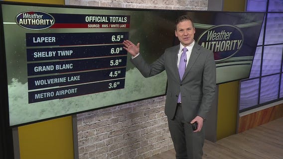 Southeast Michigan snow totals