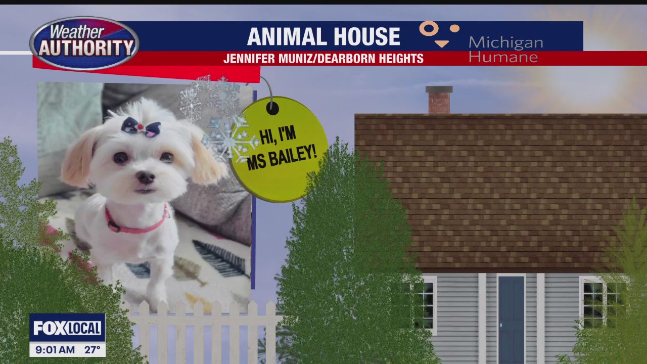 Welcome Ms Bailey, Hondo & Archie