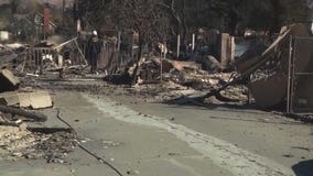 LA wildfire debris removal program extended