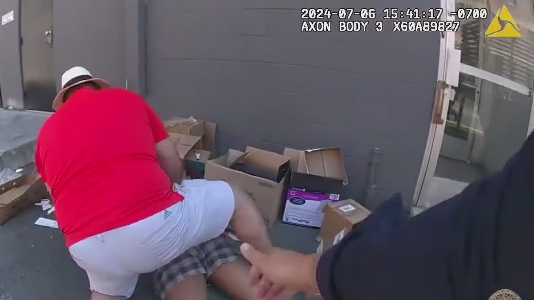 LAPD video shows death of robbery suspect