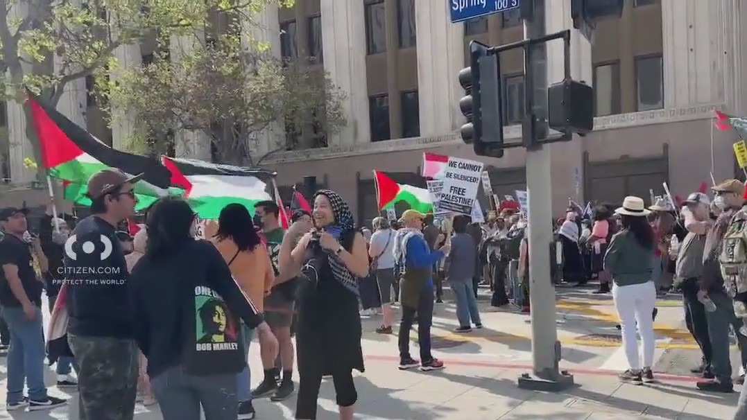 Protesters gather for 'Palestinian Land Day' rally