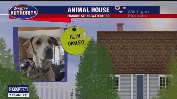 Welcome Oakley, Mercury, Alex, Paul