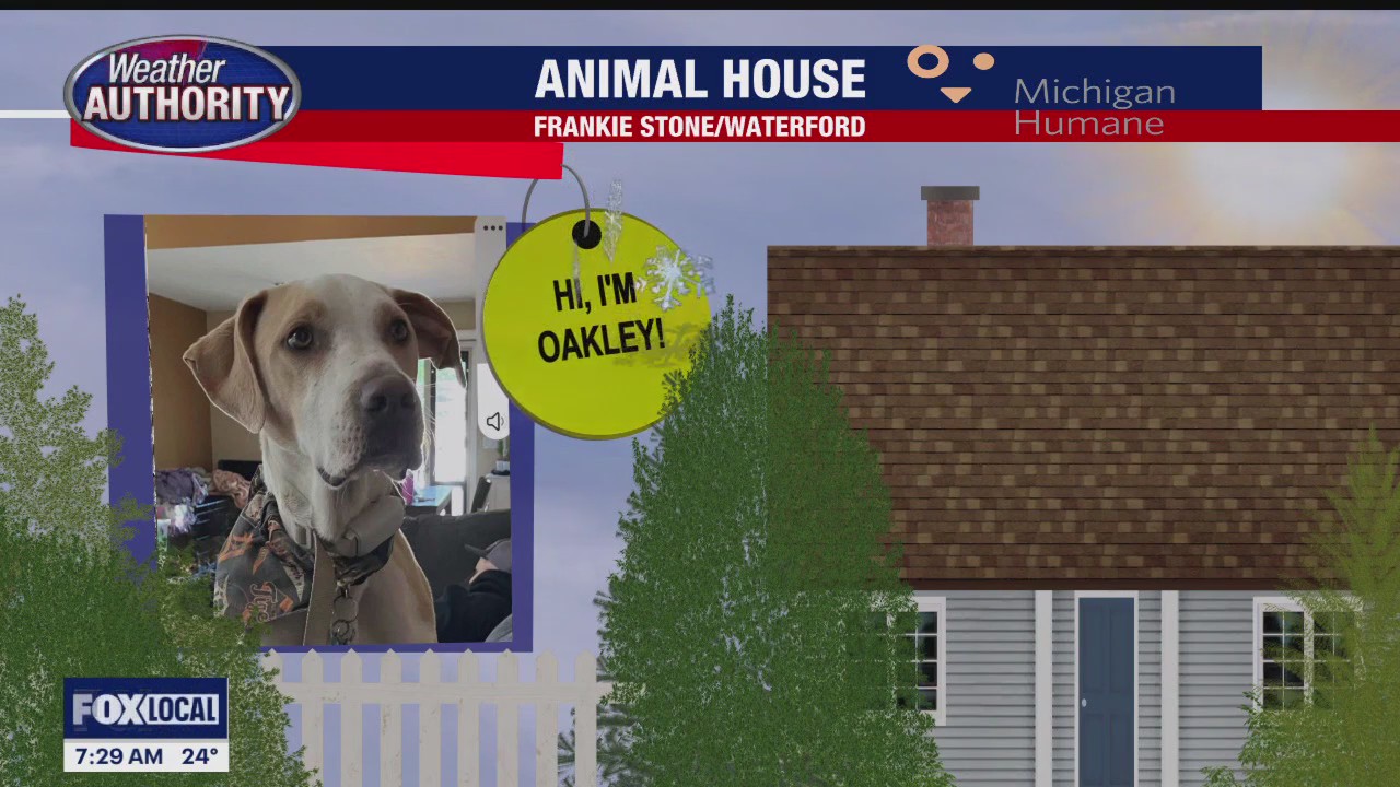 Welcome Oakley, Mercury, Alex, Paul