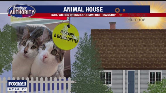 Welcome Howard, Bernadette, Kona, Coco