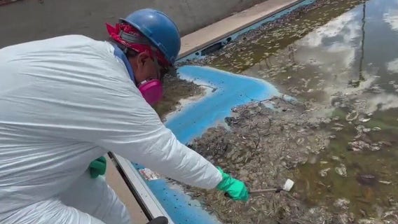 Mosquito threat in Eaton Fire burn zone