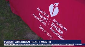 Heart Month: How to Support the American Heart Association in Southeast Michigan