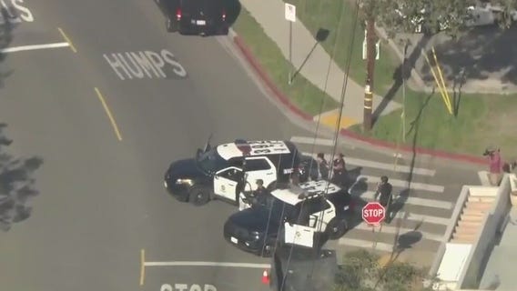 Officers shoot at hit-and-run suspect in LA