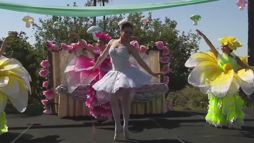 Immersive Wonderland Experience comes to Pasadena