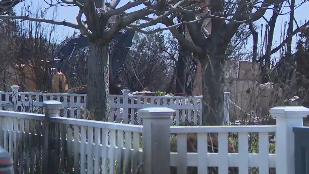 Three months since the Palisades Fire