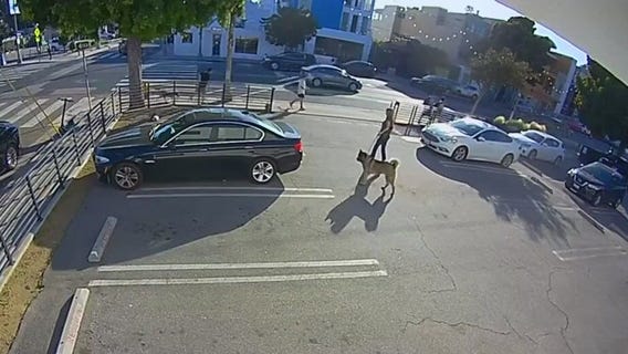 Santa Monica PD seeks help in deadly dog attack