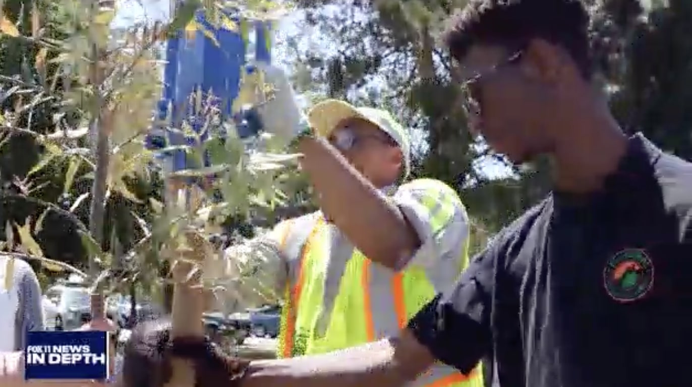 In Depth: Community Rebuilding and California Service Corps