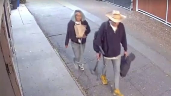 North Hollywood burglaries