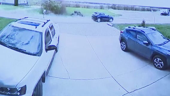 Marshella Chidester to be sentenced May 15