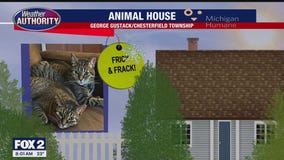 Welcome Frick & Frack, Diablo, Frankenstein