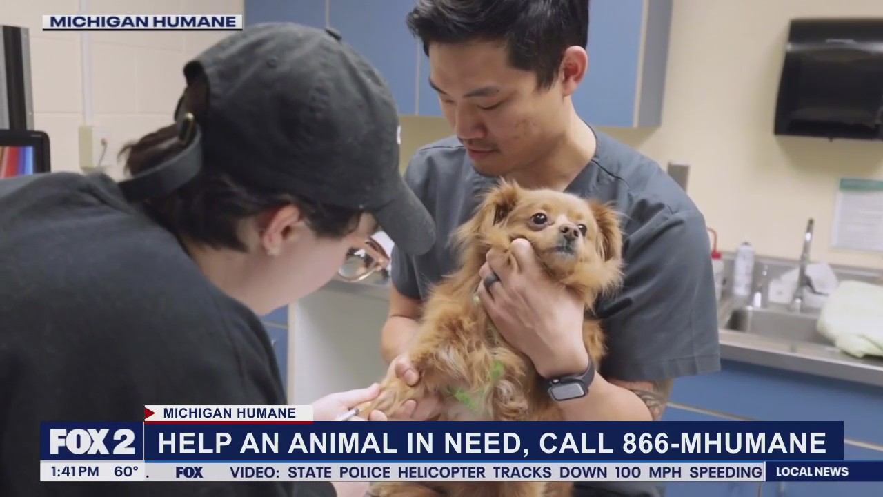 You Can Double Your Impact for Animals in Need When You Support Michigan Humane?s Day of Giving