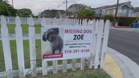 Pet owner accuses Rover of losing her dog