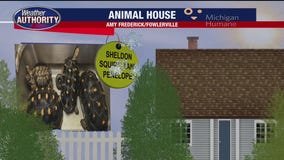 Welcome Sheldon, Squirt, Tank, Penelope, Paige, Constance