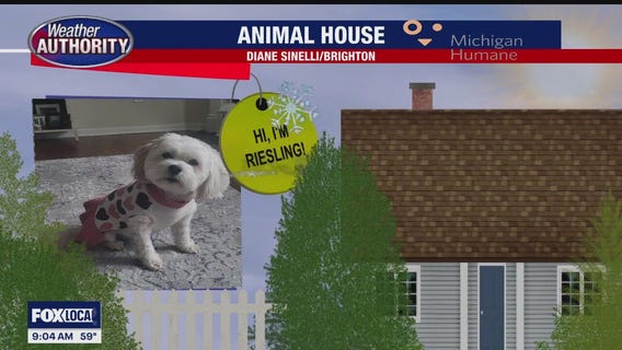 Welcome Riesling, Fernee & Millie