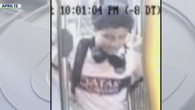 LA Metro sex assault suspect charged