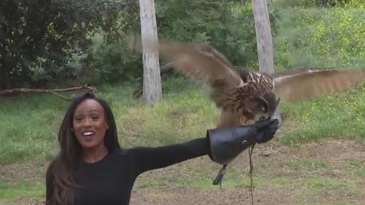 Go on mystery adventures with LA's Renaissance Club